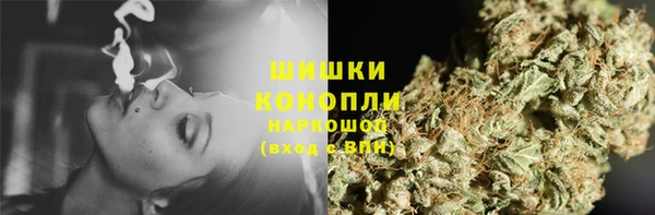 молекула духа Каменка