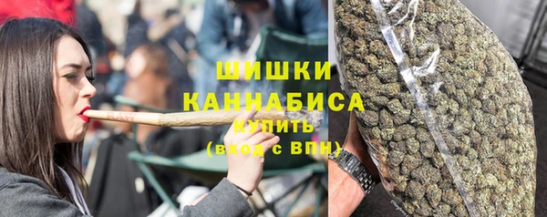 молекула духа Каменка