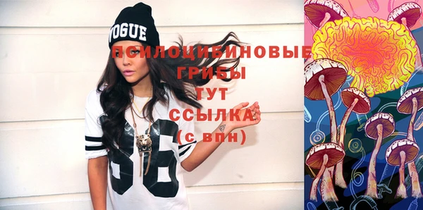 молекула духа Каменка