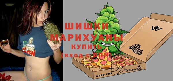 молекула духа Каменка