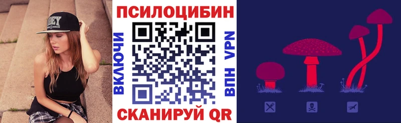 Галлюциногенные грибы Psilocybe  кракен   Торопец 