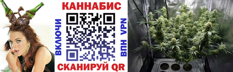 закладки  Торопец  Марихуана индика 